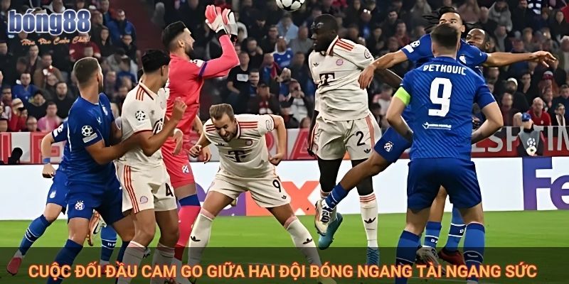 Nhận định Slovan Bratislava vs Dinamo Zagreb: Ai sẽ làm chủ thế trận? 1 Cuộc đối đầu cam go giữa hai đội bóng ngang tài ngang sức